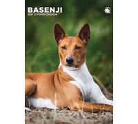 Basenji - A3 Calendar 2026