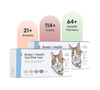 Basepaws Cat DNA Test Kit 2 Pack- Comprehensive Breed, Health and Dental Analysis Across 114 Traits for Accurate and Easy-to-Use Genetic Insights