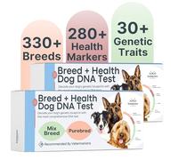 Basepaws Dog DNA Test Kit 2 Pack - 330+ Breeds, 280+ Health Risks, and 30+ Traits - Comprehensive Mixed Breed Identification, Pet DNA Test kit, Canine Genetic Ancestry and Heritage