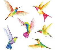 BASHOM DS2-4002 Hummingbird Wall Sticker for Bedroom, Living Room, Children's Room, Hallway, Kitchen, Window Decoration