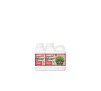 Basic Bloom Fertilizer Xpert Nutrients Master Bloom B (1L) - For the Flowering Phase of Plant | Universal Bloom Nutrition | Liquid Plant Nutrient | Indoor and Outdoor Bloom Stimulator