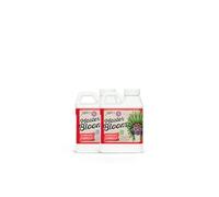 Basic Bloom Fertilizer Xpert Nutrients Master Bloom B (250ml) - For the Flowering Phase of Plant | Universal Bloom Nutrition | Liquid Plant Nutrient | Indoor and Outdoor Bloom Stimulator