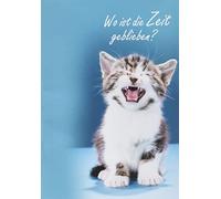 Basic Classic Birthday Card - Cat - 11.6 x 16.6 cm