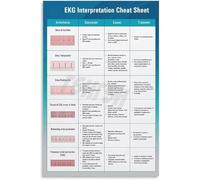 Basic EKG Reading Poster Electrocardiogram Wave Pattern For Paramedic Training EMT Station Ambulance Bay Wall(Framed,16x24inch(40x60cm))