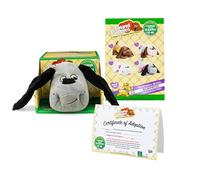 Pound Puppies | Gray / Lovey Puppy Plush | Puppy Toy, Soft Toy Dog for Children, Puppy Toys for Girls and Boys, 43cm Dog Plush for Kids Ages 3+ | Basic Fun 38214