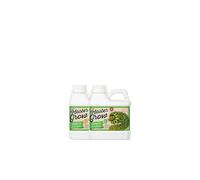 Basic Growth Fertilizer Xpert Nutrients Master Grow B (1L) - For the Vegetative Phase of Plant | Balanced Liquid Fertilizer | Indoor and Outdoor Grow Stimulator | Premium Quality