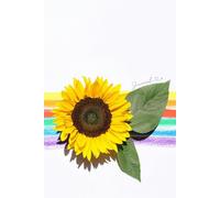 Basic Journal & Notebook Sunflower Rainbow, 6in x 9im, Lined, 150pgs: For All Occasions. Christmas, Birthday, Thank You, Teacher's Gift & To Treat Yourself!