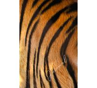 Basic Journal & Notebook Tiger, 6in x9in, Lined, 300pgs: For All Occasions. Christmas, Birthday, Thank You, Teacher's Gift & To Treat Yourself!