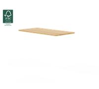 Basic Standing Desk with Desktop Silver Steel