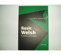 Basic Welsh: A Grammar and Workbook (Grammar Workbooks)