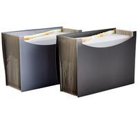 Basics Expanding Organizer File Folder for Documents, Letter Size, 13 Pockets,