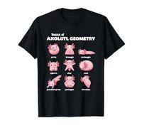 Basics of Axolotl Geometry Funny Math Teacher Axolotl Value Graphic T-Shirt, Men, Black, XL