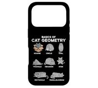 Basics Of Cat Geometry Funny Kitten Kitty Math Men Women Kid Case for iPhone 17 Pro