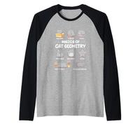 Basics of Cat Geometry Math Funny Cat for Cat Dad Cat Mom Raglan Baseball Tee