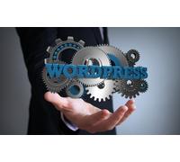 Basics of Word Press, Create Unlimited Websites - Online Course