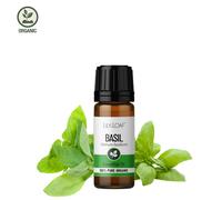 Basil Organic Essential Oil
