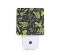 Basil Thyme Dill & Rosemary Plug-in Led Night Light with Motion Sensor Dusk to Dawn Sensor Backlit Nightlight for Bedroom Bathroom