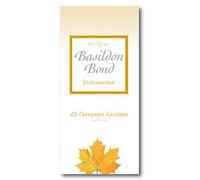Basildon Bond Luxury Peel and Seal Envelopes 20 Pack for P4TO Writing Pad - Champagne, Size 89 x 187mm