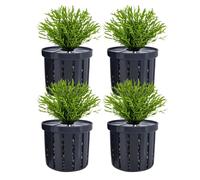 Basket - PP, 1.57 Inch, Stable Pot, Root Anchor Cups, Aquatic Substrate Support, Aquarium for Home Tanks, Freshwater Seawater Installations, Dice