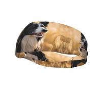Basketball Elastic Headband, Border Collie Unisex Sports Headband, Sports Running Cycling Yoga Fitness Sweat-Absorbent Band,