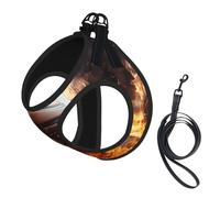 Basketball on Fire and Water Flame Splashing Print Soft Pet Harness and Leash Set, Adjustable Mesh Puppy Vest Harness for Small Small Large Dogs and Cats