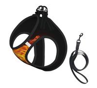 Basketball On Fire print Dog Harness and Leash Set, Reflective Adjustable Puppy Vest for Small Medium Large Dogs, Cats