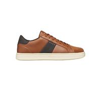 Baskets Geox Baltmoore Marron 40