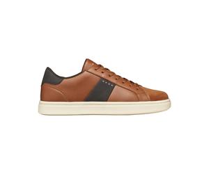 Baskets Geox Baltmoore Marron 40