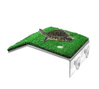 Basking for - Harbour Area, Aquarium, Stage for | Easy Access Basking Point for Tritons Frogs Amphibians Pets Practical