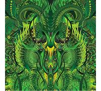 BLIND IDIOT GOD - BEFORE EVER AFTER NEW CD