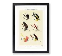 Bass Fishing Flies Version 1 by Mary Orvis Marbury Framed Print | A2 Black Framed Wall Art | Ready to Hang | Modern Animal Picture | Living Room Bedroom Lounge Office