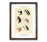Bass Fishing Flies Version 1 by Mary Orvis Marbury Framed Print | A2 Walnut Framed Wall Art | Ready to Hang | Modern Animal Picture | Living Room Bedroom Lounge Office