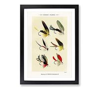 Bass Fishing Flies Versions 5 by Mary Orvis Marbury Framed Print | A2 Black Framed Wall Art | Ready to Hang | Modern Animal Picture | Living Room Bedroom Lounge Office