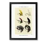 Bass Fishing Flies Versions 6 by Mary Orvis Marbury Framed Print | A2 Black Framed Wall Art | Ready to Hang | Modern Animal Picture | Living Room Bedroom Lounge Office