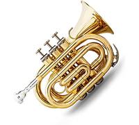 Bass Trumpets, Professional mini trumpet Mini Pocket Trumpet Flat B Bb Brass Wind Instrument Travel Trumpet Quality Lacquer Finish With Mouthpiece