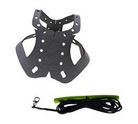 Bassadoro Pigeon Harness and Leash, Adjustable Pet Bird Traction Rope, Sturdy Anti-Bite Training Harness for Outdoor Flying- Gray
