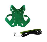 Bassadoro Pigeon Harness and Leash, Adjustable Pet Bird Traction Rope, Sturdy Anti-Bite Training Harness for Outdoor Flying- Green