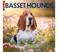 Basset Hound 2026 Calendar: Adorable Basset Hounds in Beautiful Photography - A Year of Loyalty and Long-Eared Charm