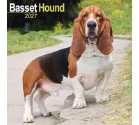 Basset Hound 2027 Calendar | Square Wall Calendar | Dog Breed Gift | Plastic Free Packaging | by Avonside Publishing