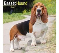 Basset Hound Calendar 2027, Wall Calendars, Month To View, Dogs, Gift