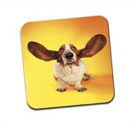 Basset Hound Ears Open Single Coaster