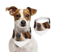 Basset Hound Isolated,Dog Bandanas Cotton Pet Scarf Adjustable Bibs for Pet,M