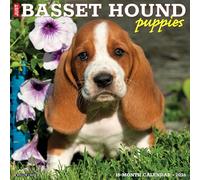 Basset Hound Puppies 2026 12 X 12 Wall Calendar