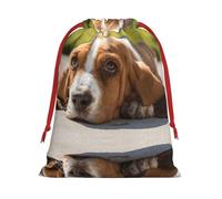 Basset Hound Ultra Soft Velvet Gift Bag, Comfortable To The Touch, Reusable