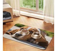 Basset Hound,Waterproof Pet Feeding Mat,PU Leather Placemats for Cat Dog Water Bowl,Food Mats,30x45cm