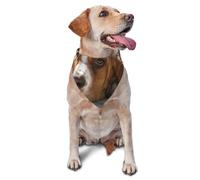 Basset HoundDog Bandanas Cat Puppy Scarfs Washable Pet Handkerchief