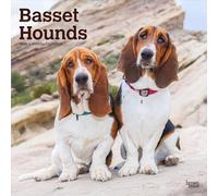 Basset Hounds 2026 - 16-Monatskalender: Original BrownTrout-Kalender [Mehrsprachig] [Kalender]