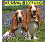 Basset Hounds 2026 Wall Calendar