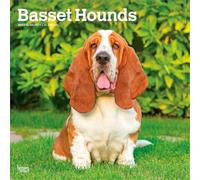 Basset Hounds 2027 12 X 24 Inch (Hanging) Monthly Square Wall Calendar Plastic-Free: Original BrownTrout-Kalender [Mehrsprachig] [Kalender]