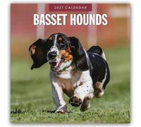 Basset Hounds 2027 Square Wall Calendar: Original Red Robin Publishing Ltd-Kalender [Mehrsprachig] [Kalender]